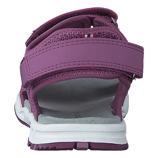Anchor Violet/bordeaux