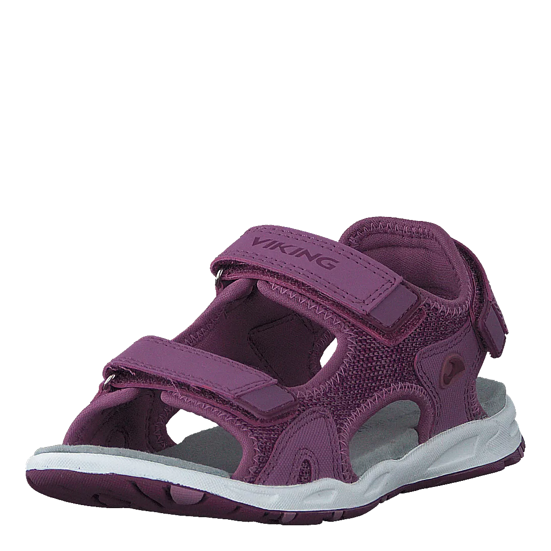 Anchor Violet/bordeaux