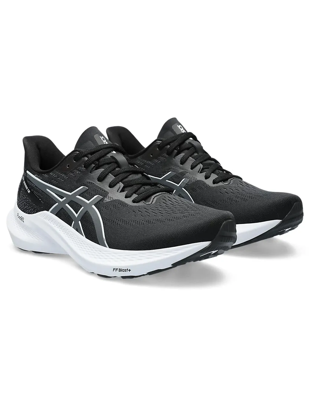 ASICS GT-2000 12 Men’s Shoes