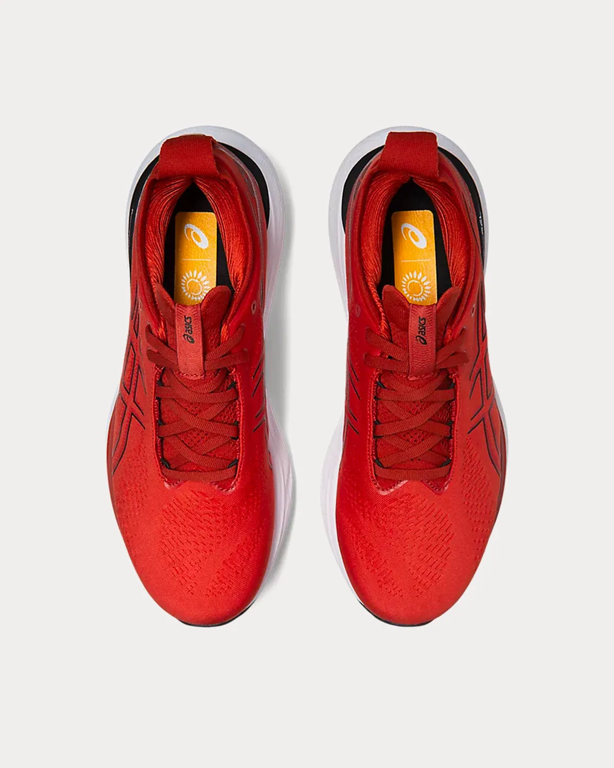Gel-Nimbus 25 Spice Latte / Black Running Shoes