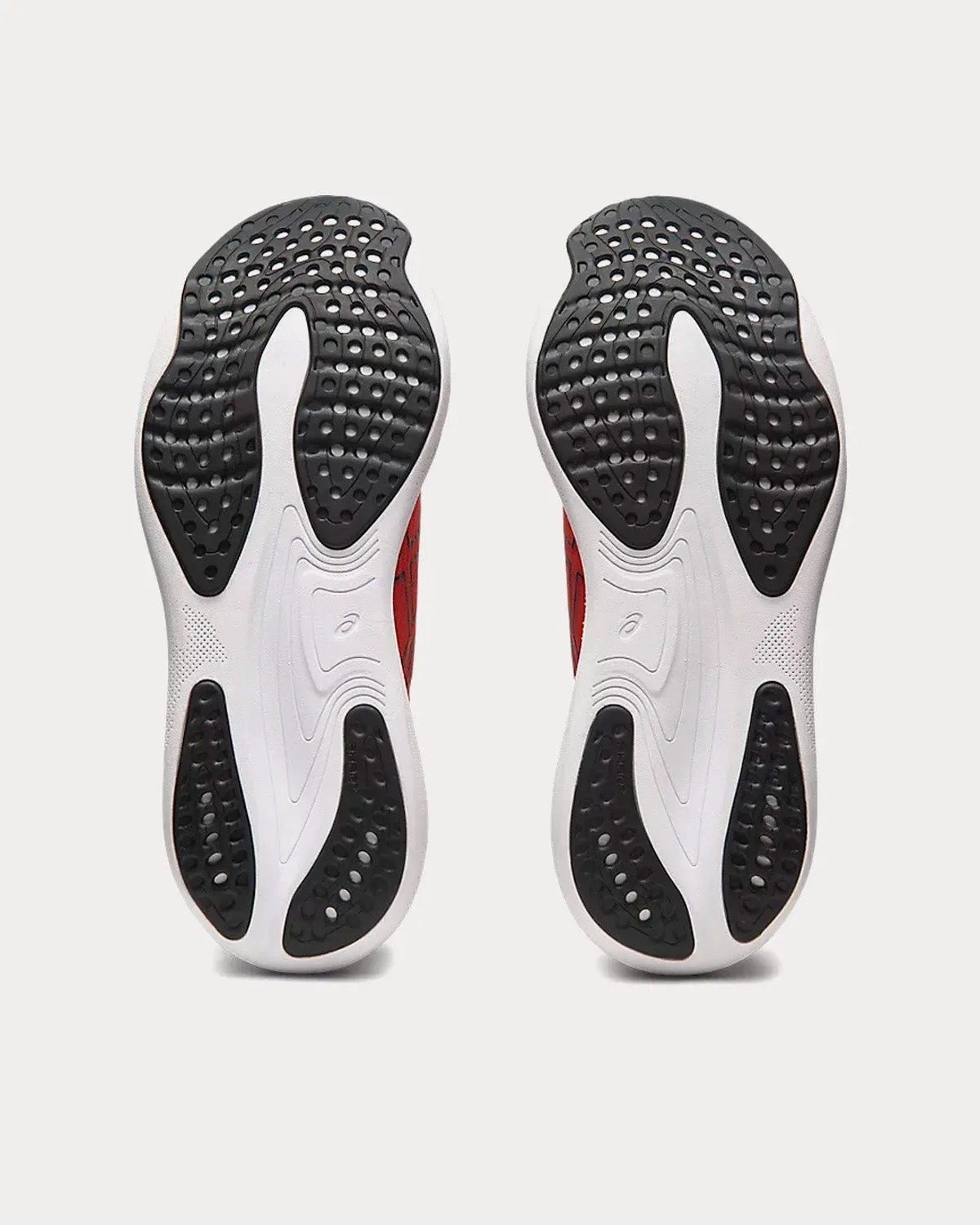 Gel-Nimbus 25 Spice Latte / Black Running Shoes