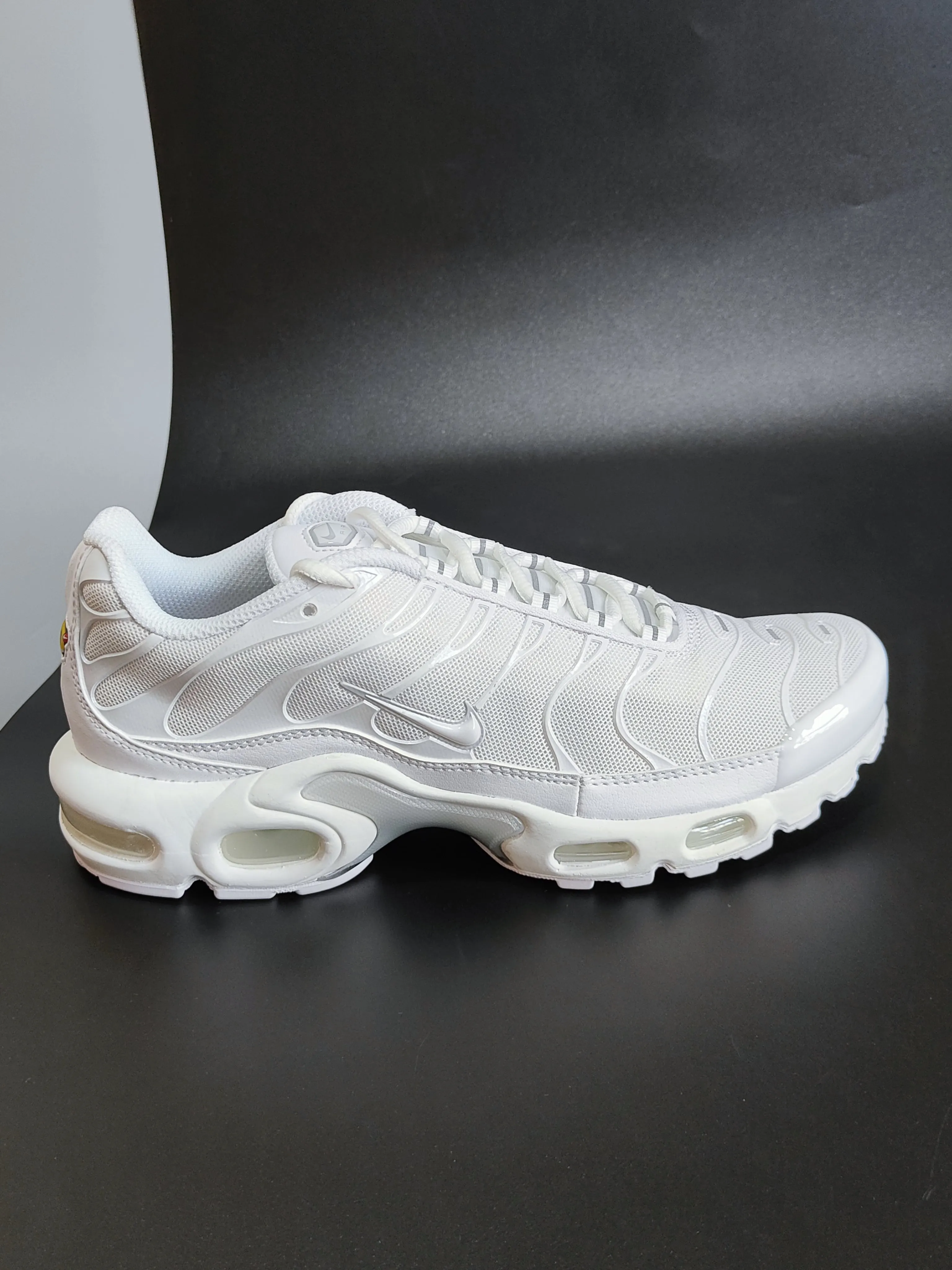 Nike Air Max Plus Women's Trainers in White