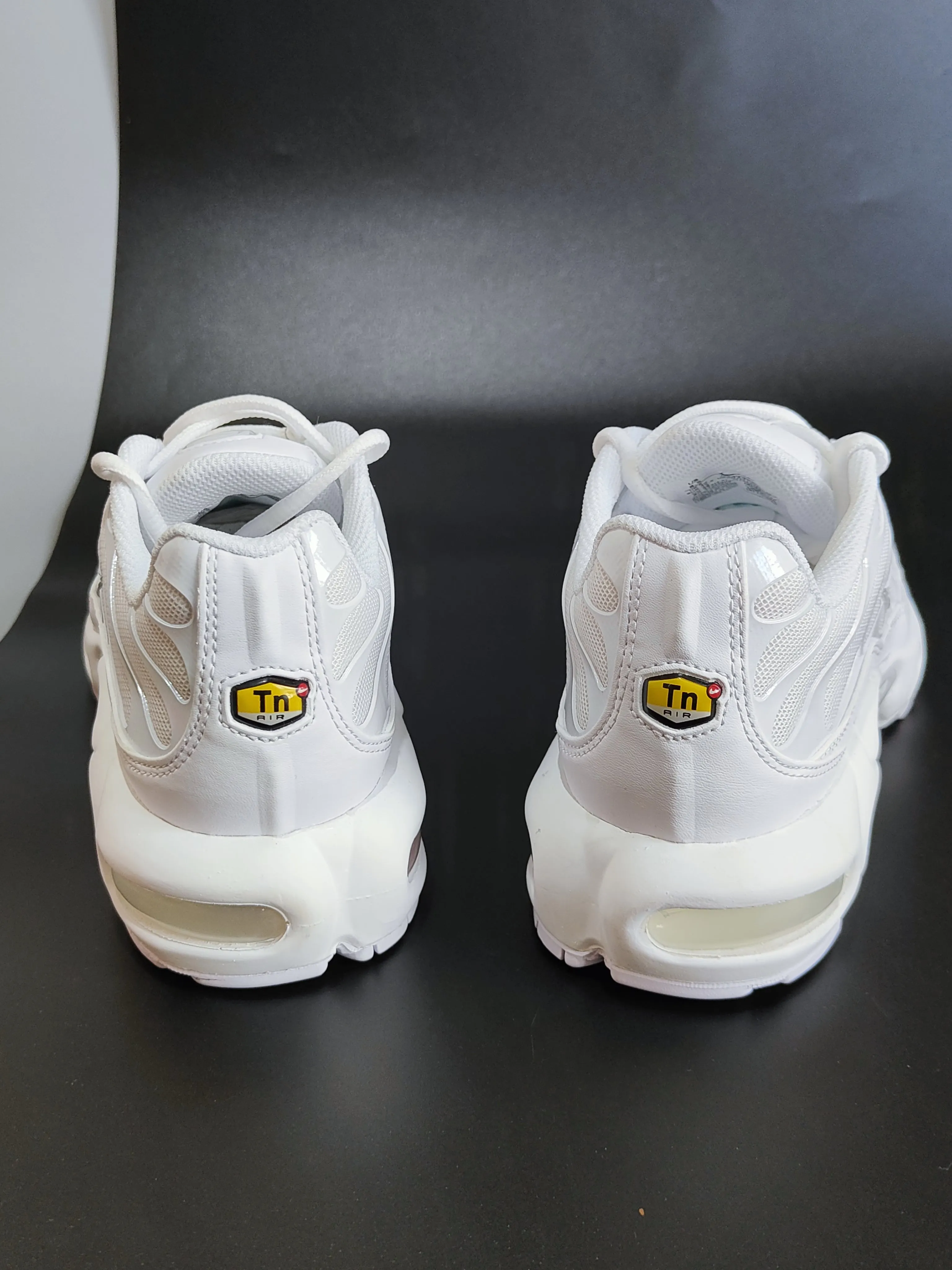 Nike Air Max Plus Women's Trainers in White