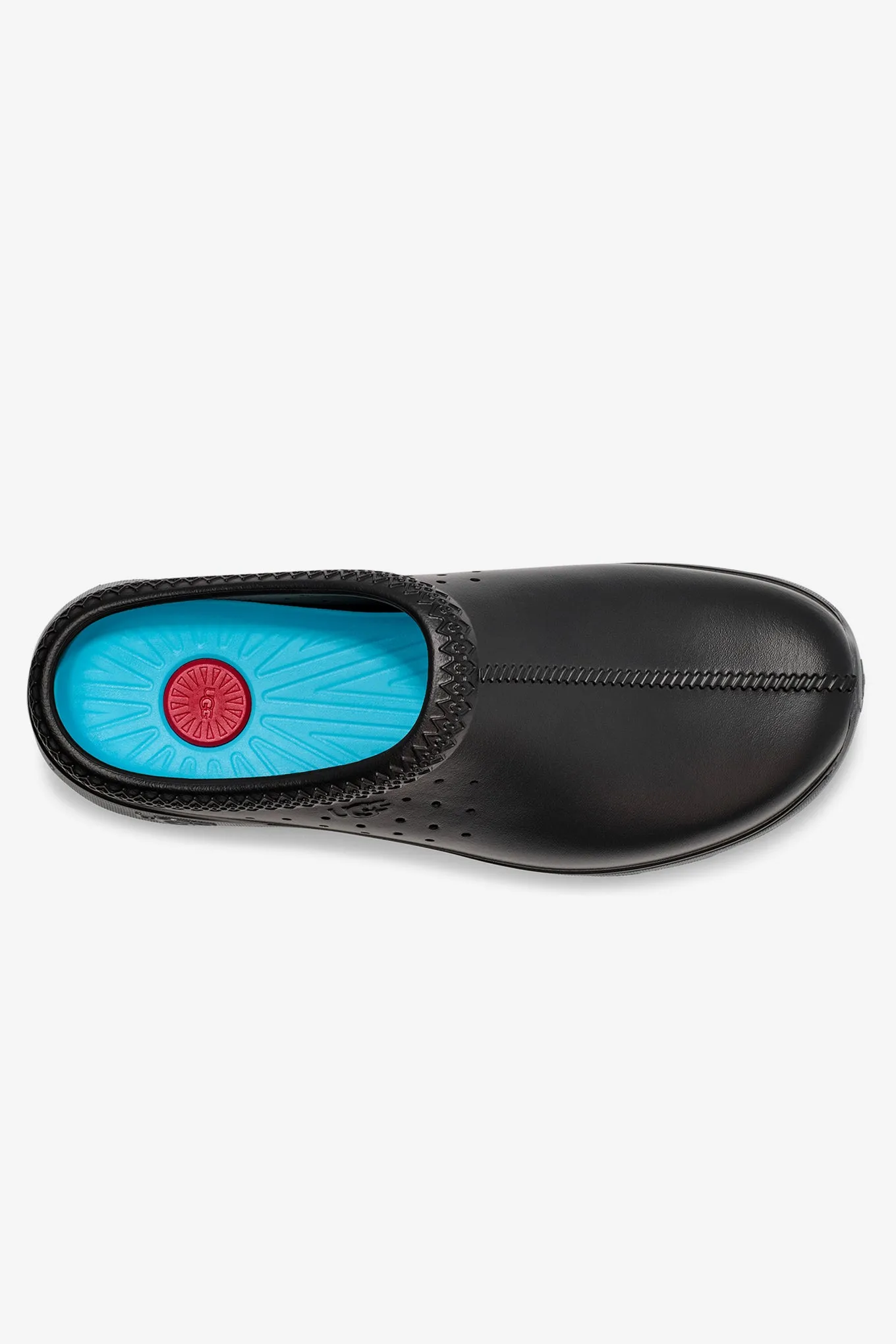 TASMAN SPORT